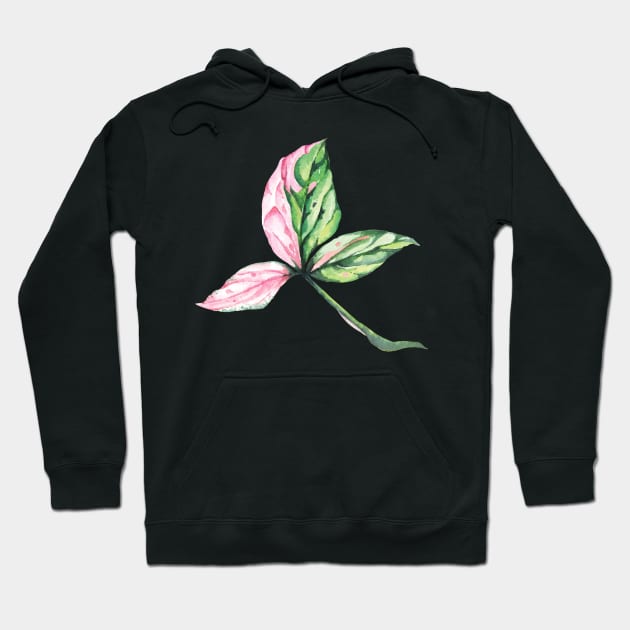 Syngonium Pink Splash Leaf Hoodie by gronly